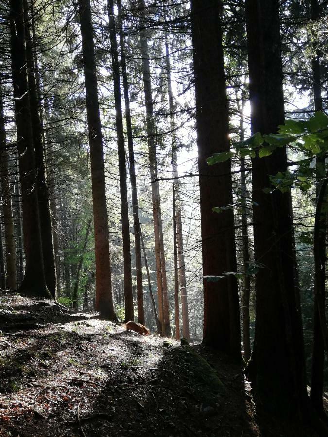 Chalet Il Fungo Averara Zewnętrze zdjęcie