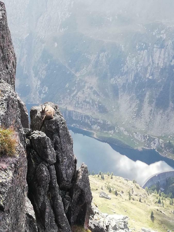 Chalet Il Fungo Averara Zewnętrze zdjęcie